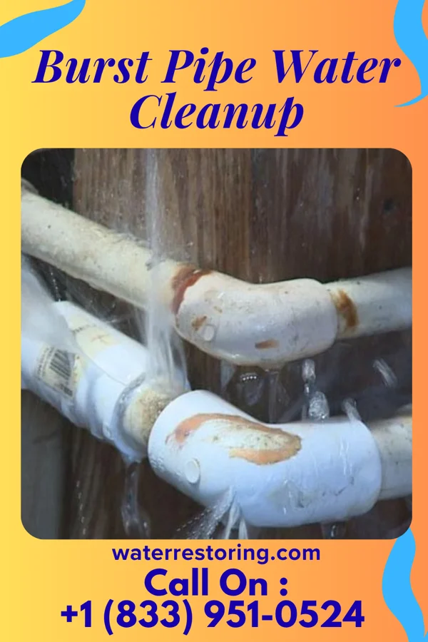 Burst Pipe Water Cleanup in Salisbury, NC
