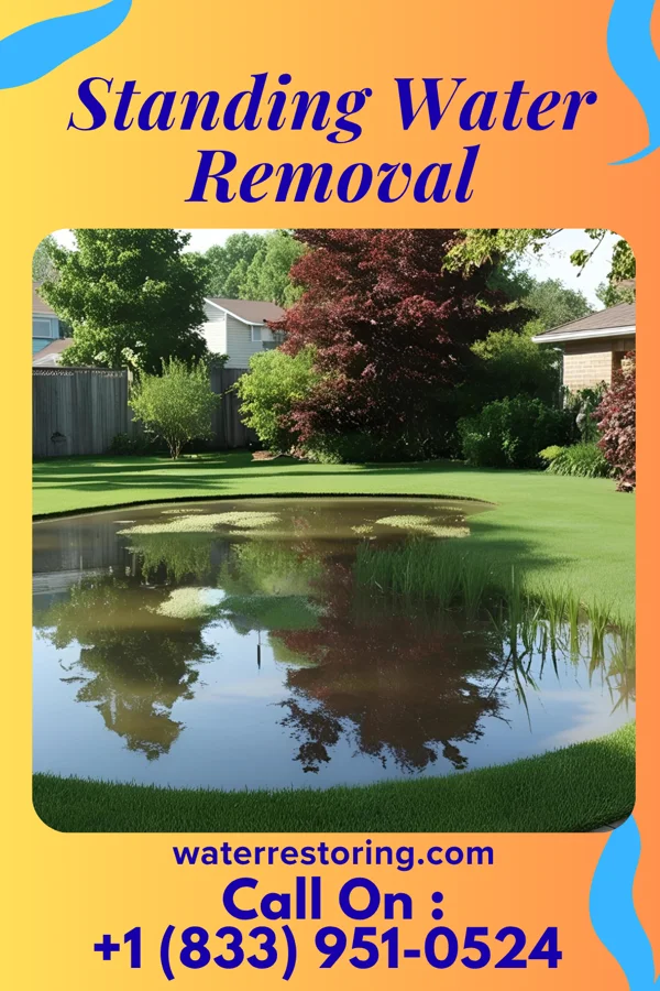 Standing Water Removal in Salisbury, NC